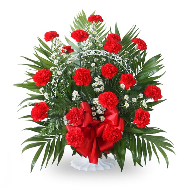 Red Carnation Basket
