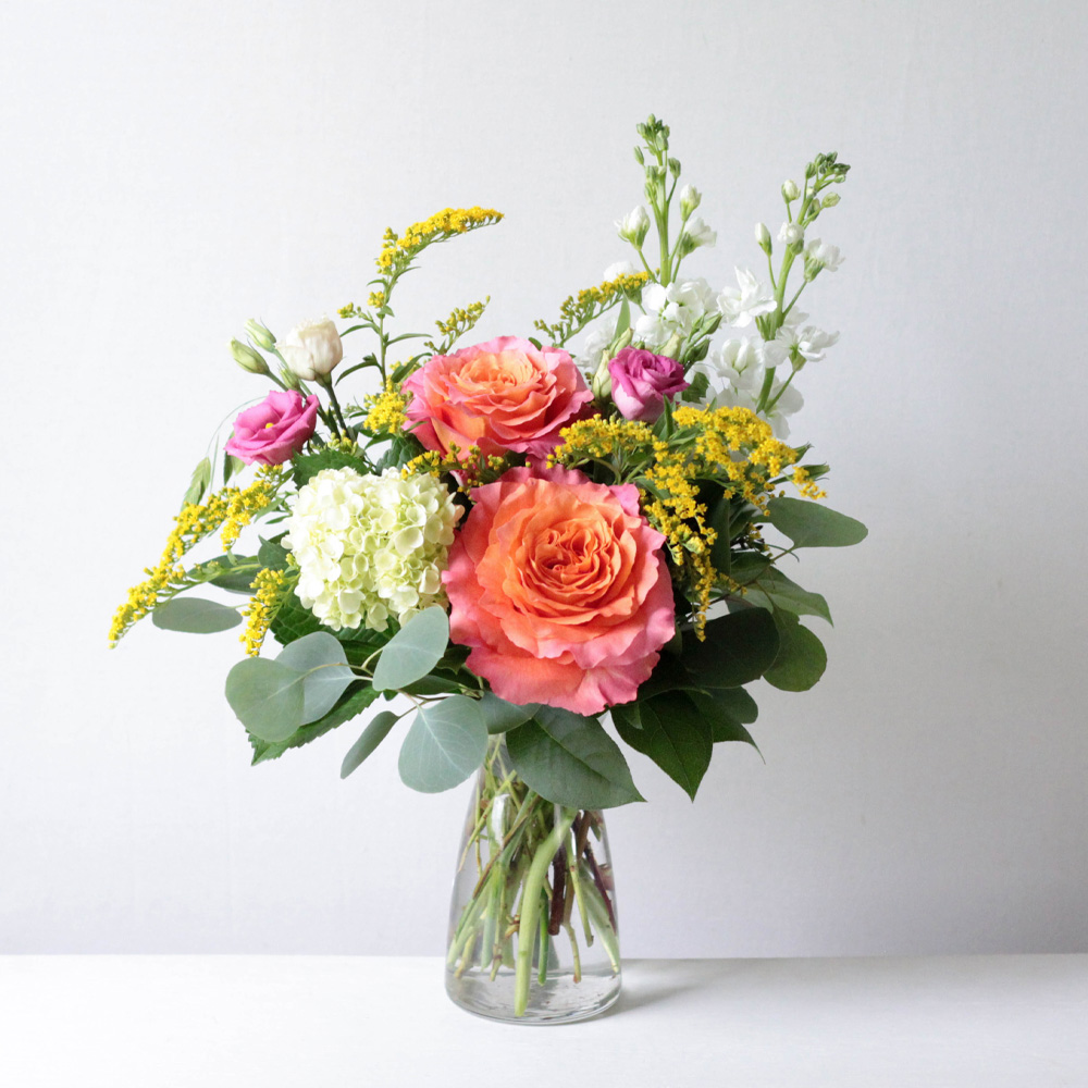 Brilliant Blooms